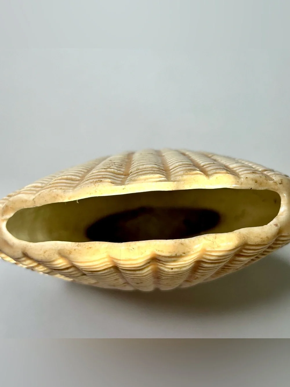 80’s Ceramic Seashell Planter Vase by Larry Laslo For Mikasa